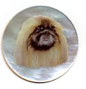 MOP - Pekingese