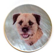 MOP - Border Terrier