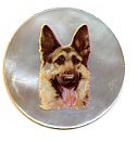 MOP - German Shepherd