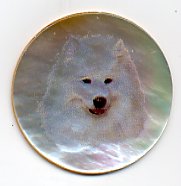 MOP - Samoyed