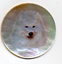 MOP - Samoyed