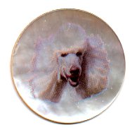 MOP - Poodle