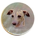 MOP - Italian Greyhound