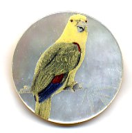 MOP - Parrot